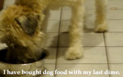 I Am An Animal Rescuer