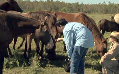 Horses And Autism – You Probably Didn’t Know This!