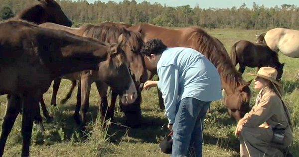 Horses And Autism – You Probably Didn’t Know This!