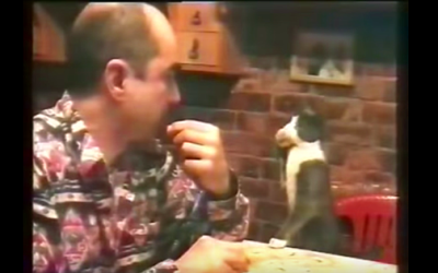 This Cat Knows Sign Language!