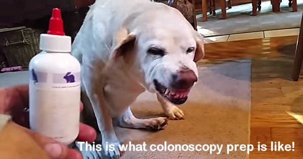 Gotta See This! It’s The Same Face I Make When Prepping For A Colonoscopy