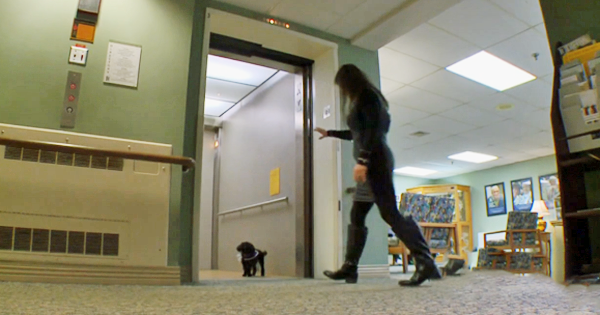 This Adorable Little Pooch Is Guided By An Angel!
