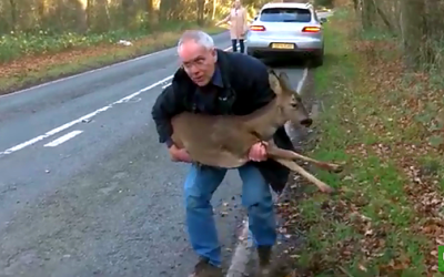 Deer Rescue – One Man’s Passion Brought To Life!