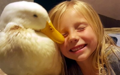 A Little Girl And Her Duck!