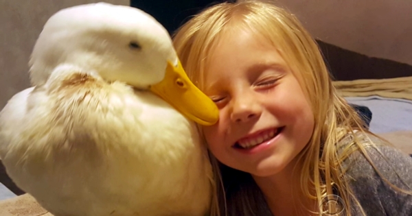 A Little Girl And Her Duck!