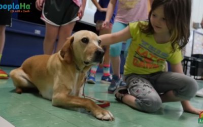 Marshall The Miracle Dog