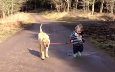 Not All Puddles Are Meant To Be Avoided!