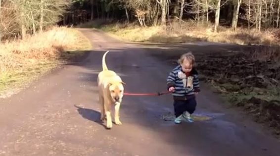 Not All Puddles Are Meant To Be Avoided!