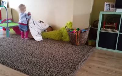 Dog And Baby Tuck Each Other In