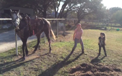 Dance Party: Horse Edition