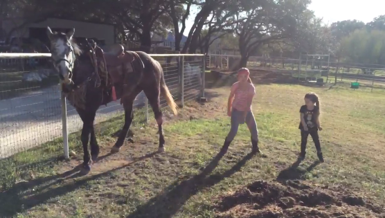 Dance Party: Horse Edition