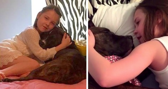 Foster Dog Gets A Beautiful Serenade